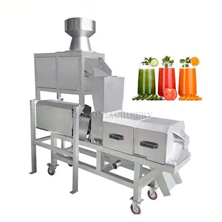 Fruitpers Schroefextractormachine